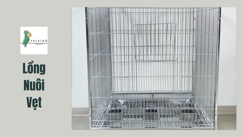 Lồng nuôi vẹt bằng inox